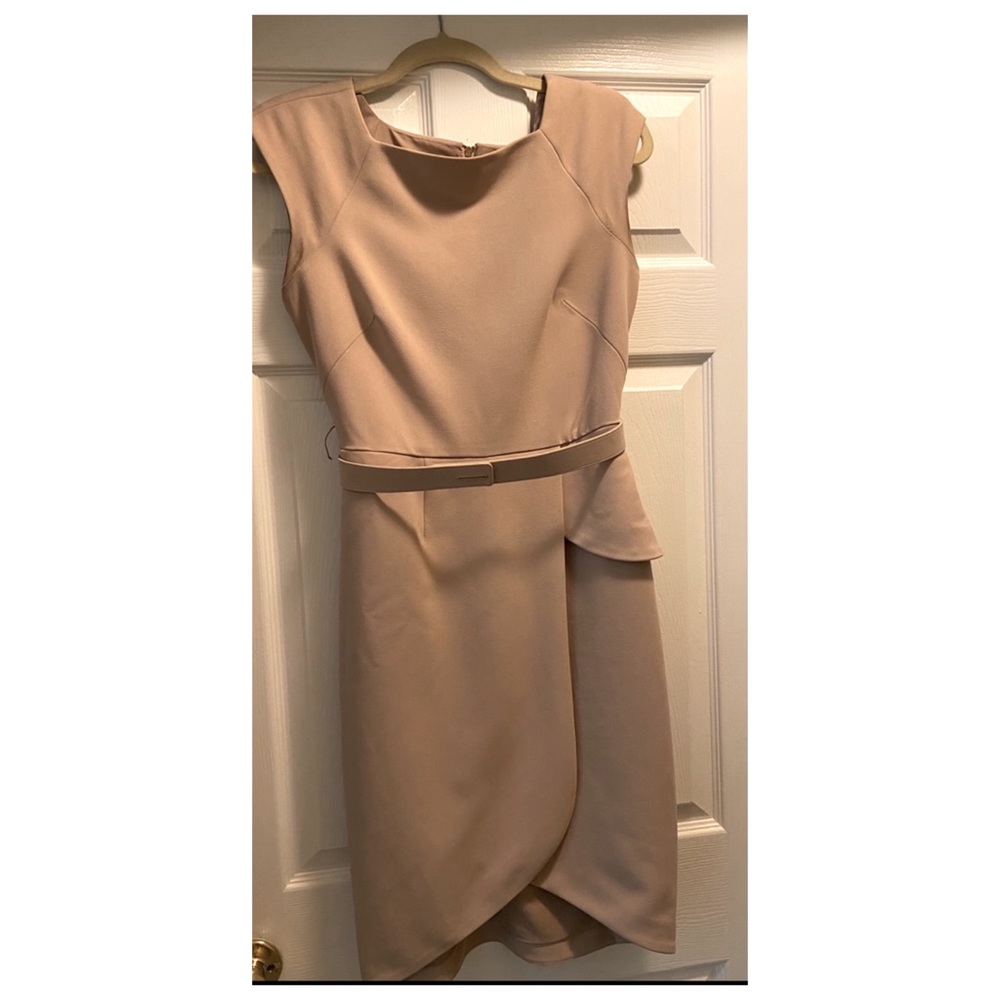 The Limited: Scandal Dress